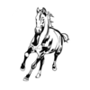 Marshall Elementary & MCEP